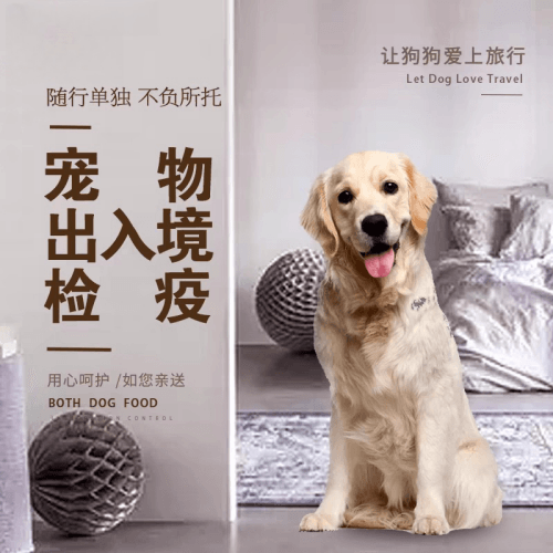 邢台市宠物托运到哥伦比亚猫狗宠物入境规定和